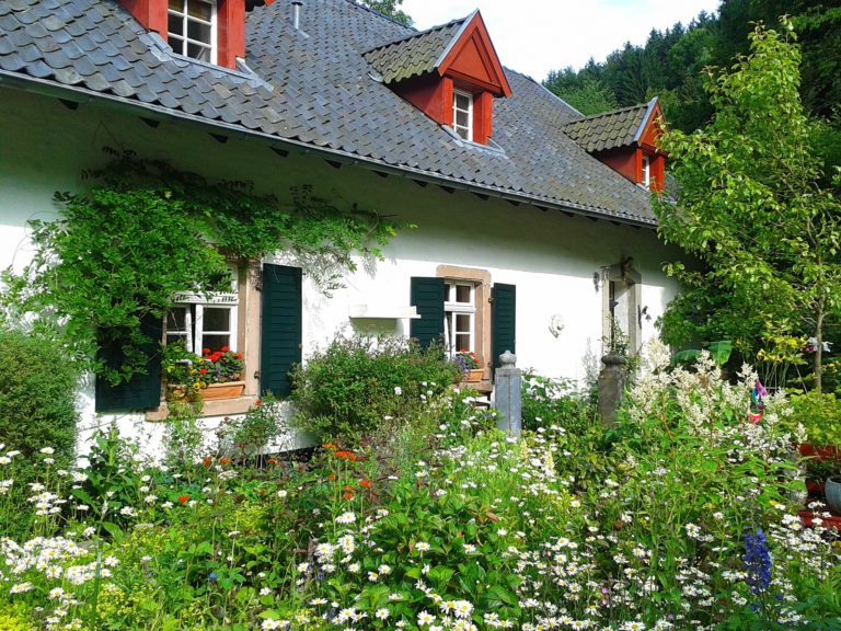 witchy cottage