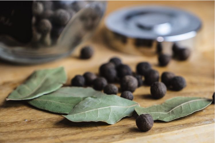 bay leaf