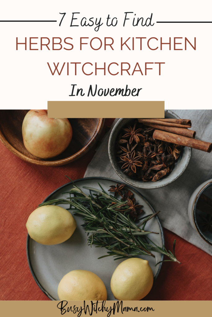 7 Easy to Find Herbs for Kitchen Witchcraft in November