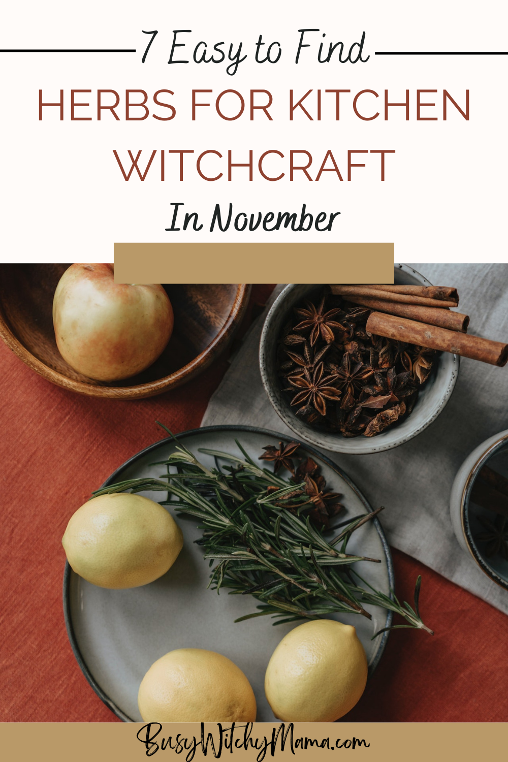 7 Easy To Find Herbs For Kitchen Witchcraft In November - Busy Witchy Mama