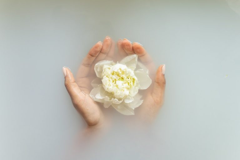 flower in milk bath