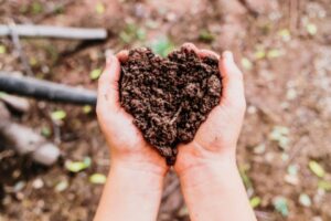 hands holding soil in the shape of a heart