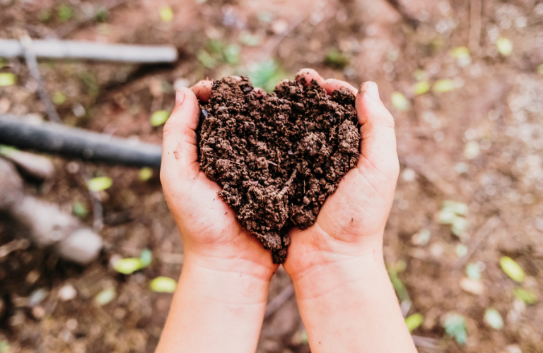 fertile soil in hands shaped like a heart