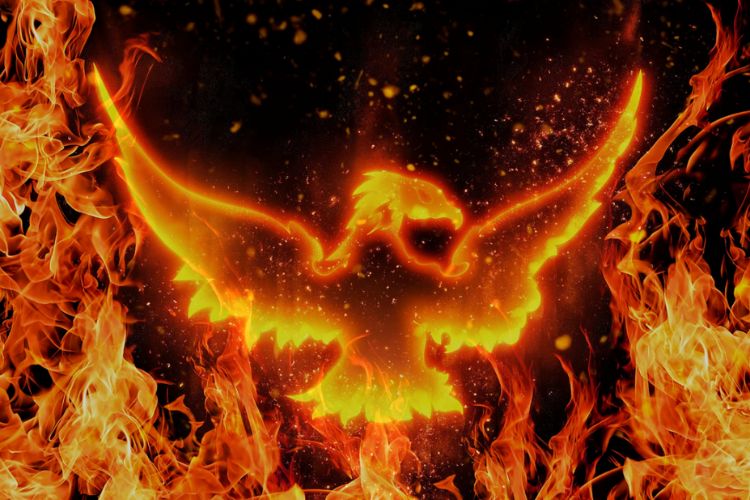 phoenix made from flames
