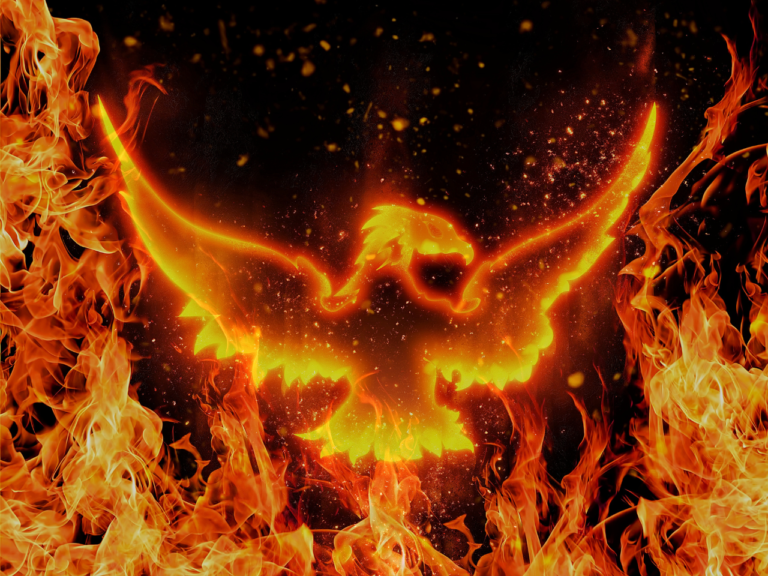 phoenix fire bird