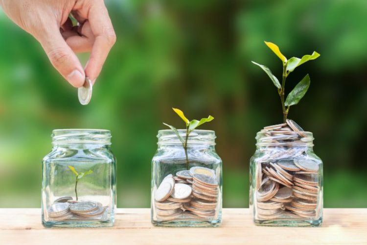 jars with coins and seedlings popping out