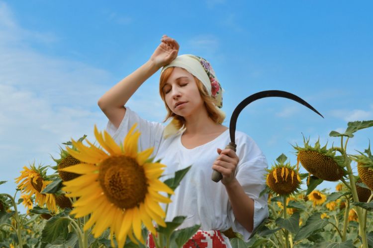 girl with sickle in sunflower field