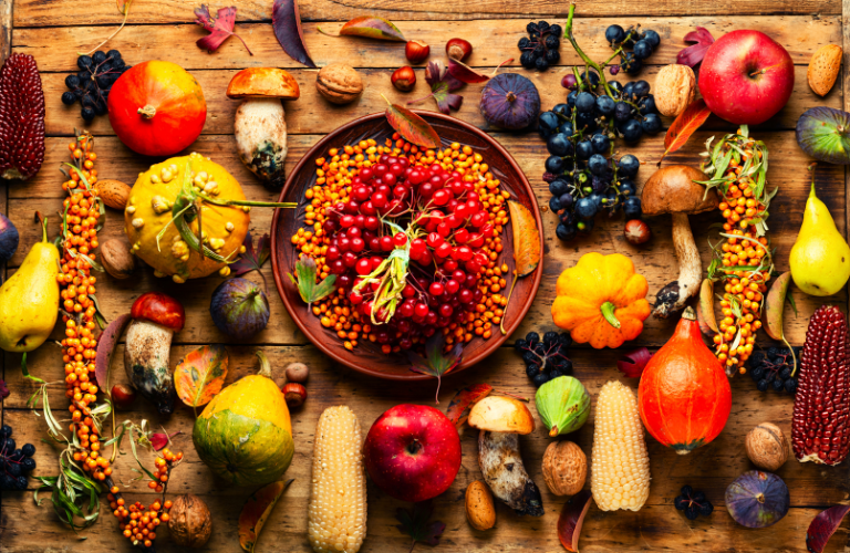 variety of harvest foods